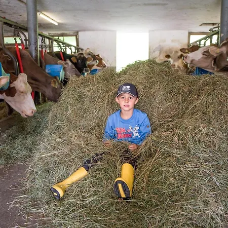 Διαμέρισμα Huaterhof Zell am Ziller